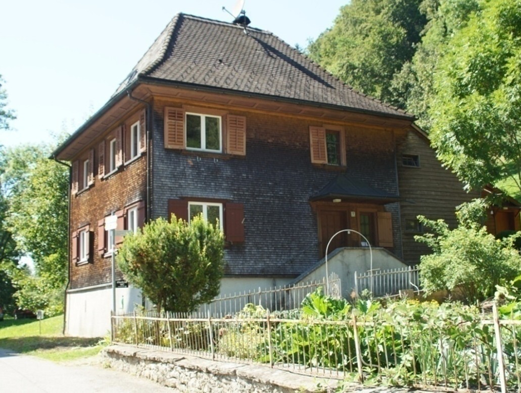 Georg Schwab